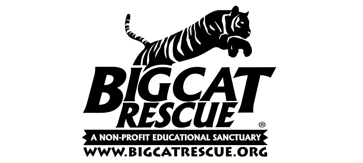 Tampa Bay VegFest_Sponsors_Big Cat Rescue