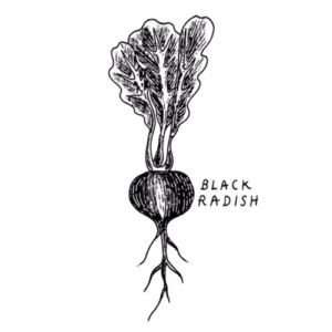 Tampa Bay VegFest_Raffle_Black Radish Grocer