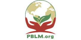 pblmorg